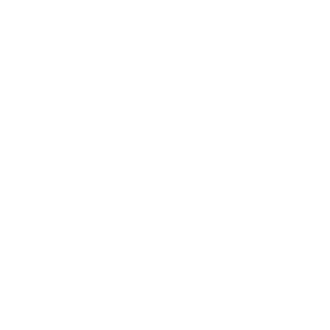 Flipkart logo